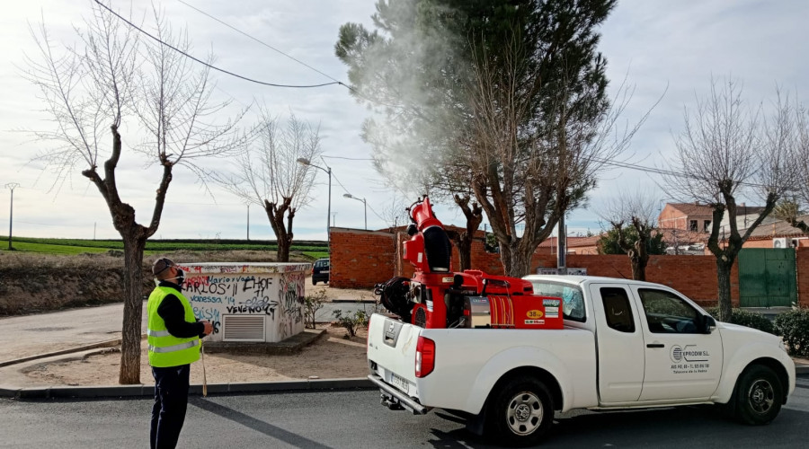 Camarena actúa contra la procesionaria